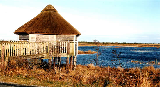 Lough Boora Parklands